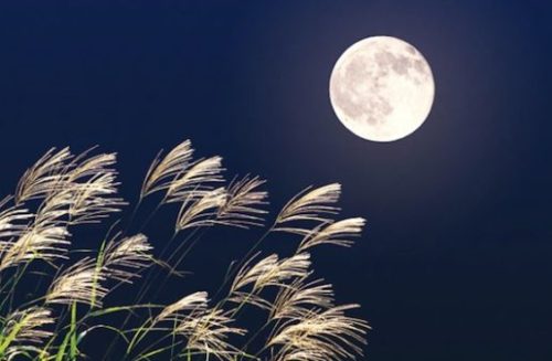 Full moon fascination