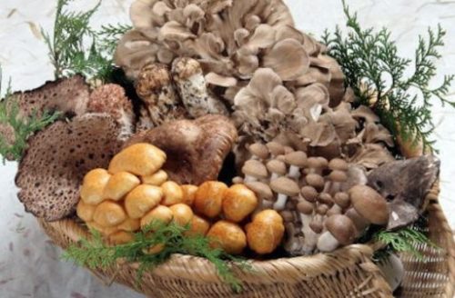 Mushroom nutrition full mark