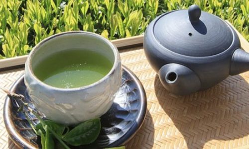 日本茶の温度