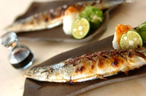 秋刀魚　