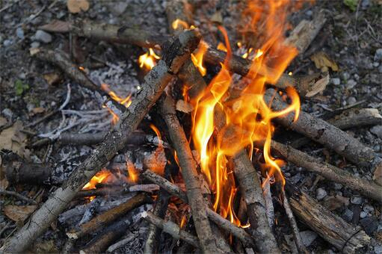 焚き火に使う木の順番